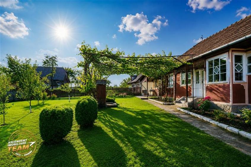 Casă individuală cu 3 camere cu Teren 7608 Mp în Cernat