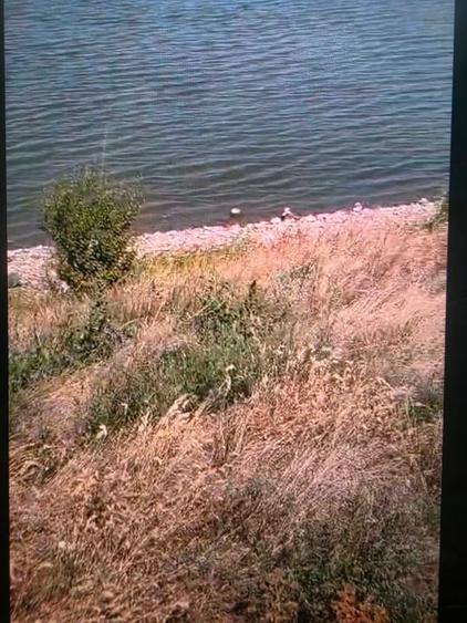 Teren extravilan de 2500 mp, în Central
