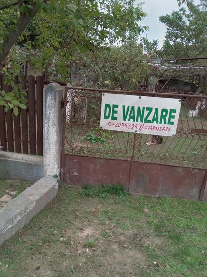 Teren de 1300 mp, în Drăgănescu