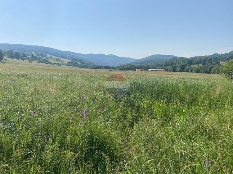 Teren agricol extravilan de 4306 mp, în Vama Buzăului