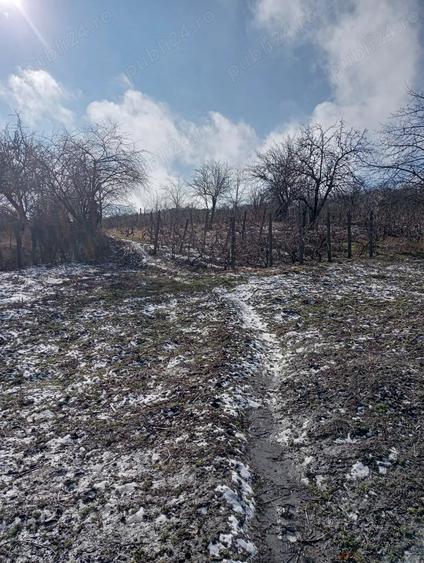 Casă cu 2 camere cu Teren 1000 Mp în Central