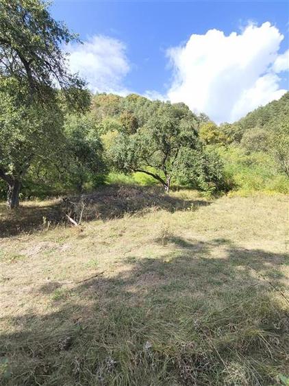 Teren agricol extravilan de 2500 mp, în Periferie