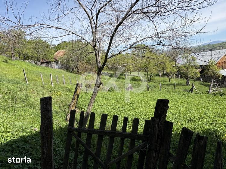 Teren de 14613 mp, în Tigveni