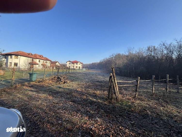 Teren de 3676 mp, în Păulești