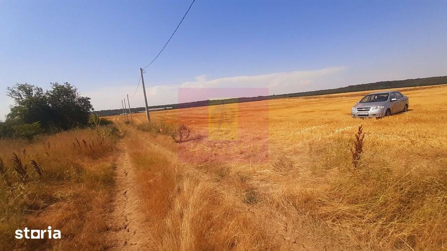 Teren de 2000 mp, în Brănești