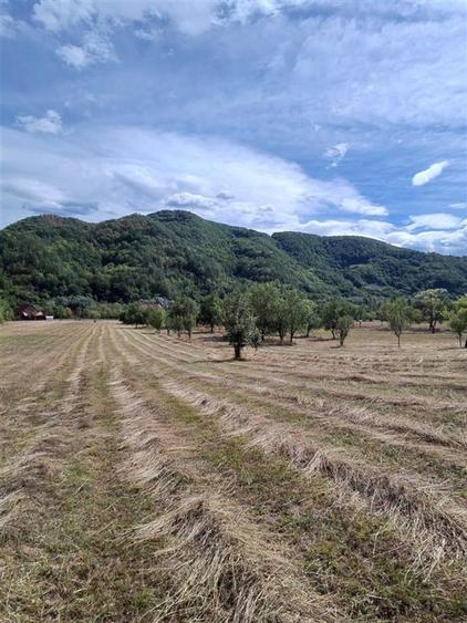 Teren Construcții intravilan de 6354 mp, în Mihăileni