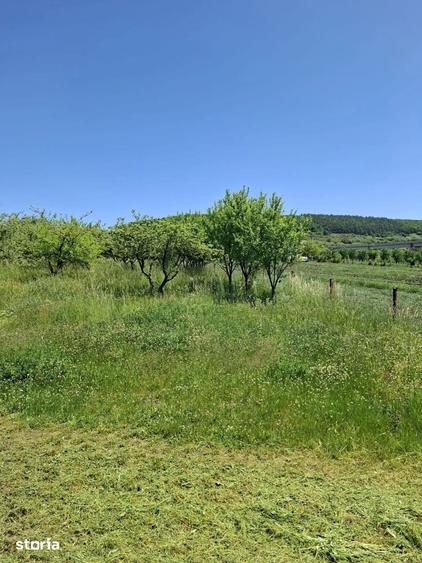 Teren de vanzare in Valcele - 1