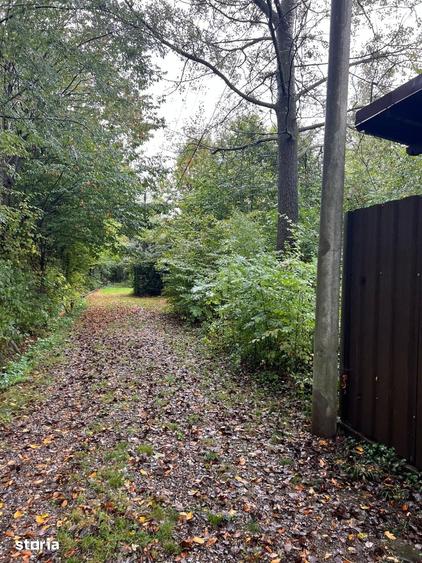 Teren intravilan Breaza, ideal casa de vacanta P+2E, gaz, apa, canal - 2
