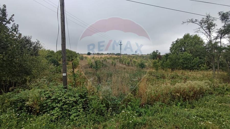 Teren Construcții intravilan de 2341 mp, în Uileacu de Munte