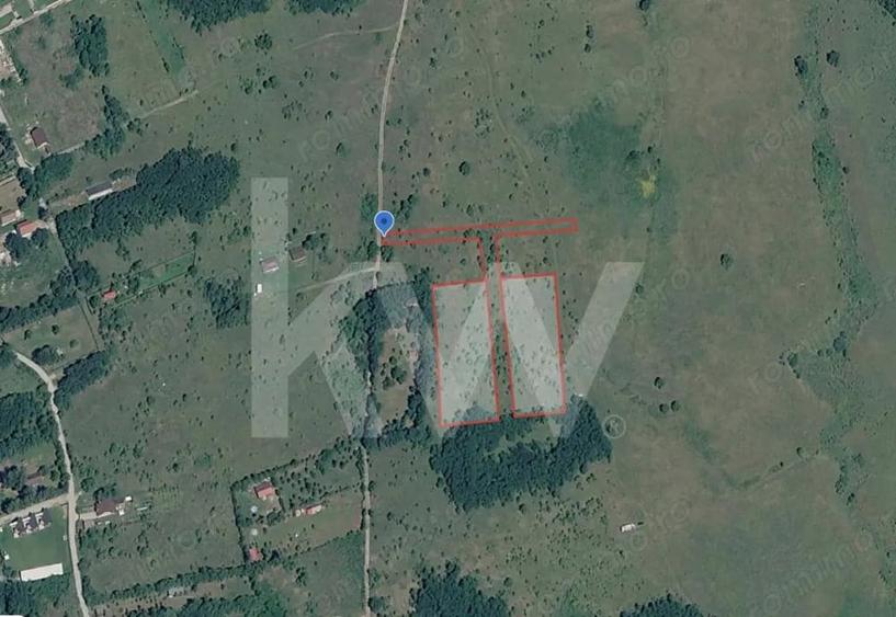 Teren extravilan de vanzare - Valea Avrigului, Sibiu - 3