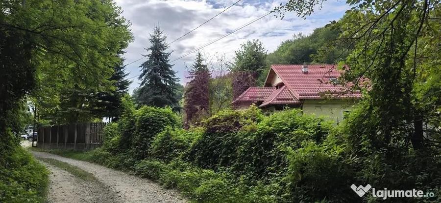 Teren în Telega