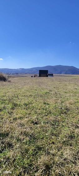 Teren de 1630 mp, în Luizi-Călugăra