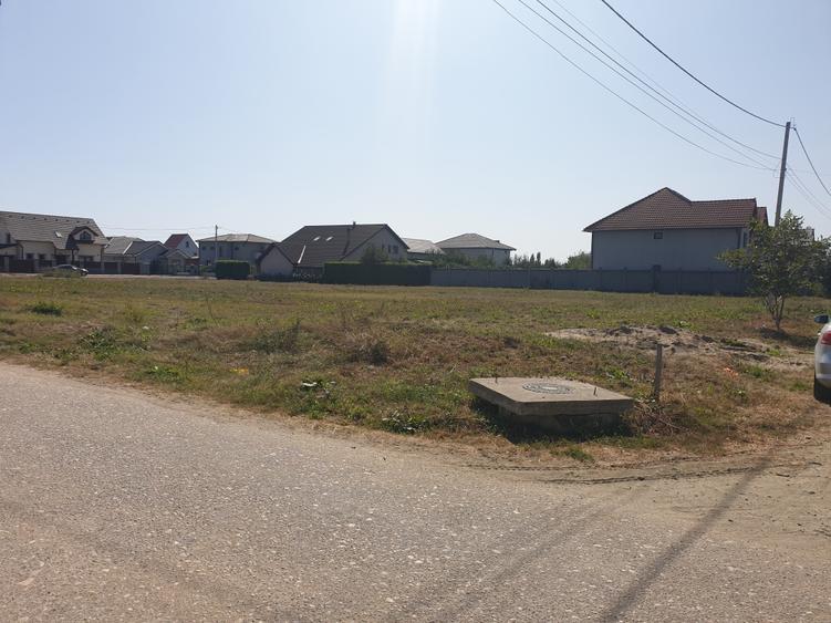 Teren Construcții intravilan de 700 mp, în Micălaca