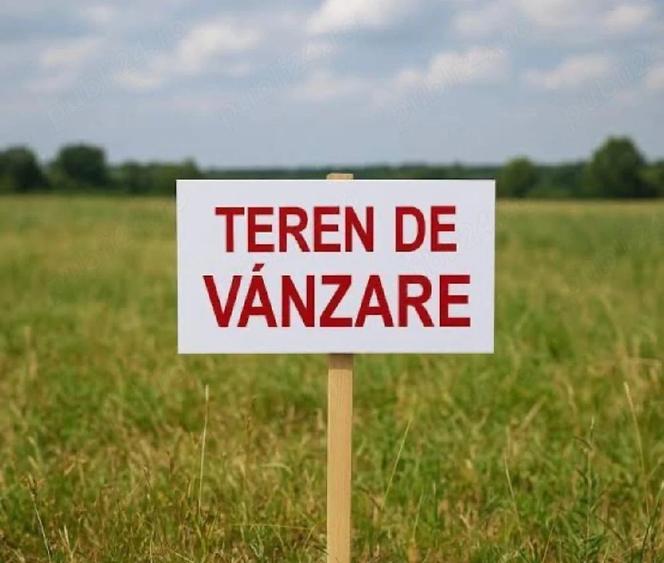 Teren de 5000 mp, în Trestieni
