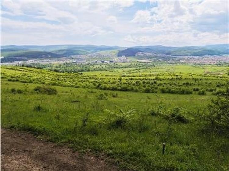 Teren Construcții extravilan de 2900 mp, în Florești