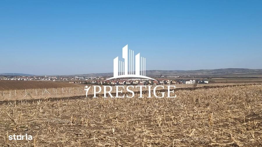 Teren Intravilan Pentru Constructie Casa | Sura Mica | Puz Aprobat - 7
