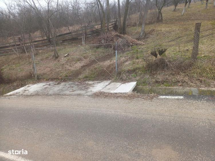 Teren de 3100 mp, în Berislăvești
