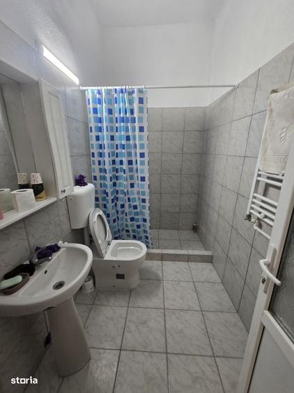 Fratelia- casa individuala renovata- 1439 mp teren - 3