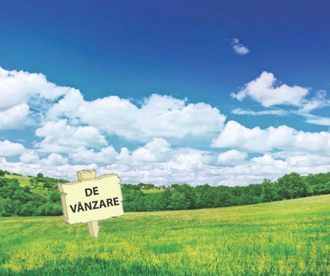 Teren de 6200 mp, în Central