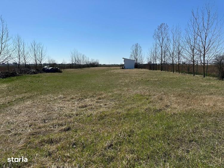 Vanzare Inchiriere teren 5000 mp - DJ 102 Albert Intersectie Paulesti - 3