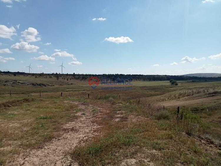 Teren intravilan de 4000 mp, în Grădina