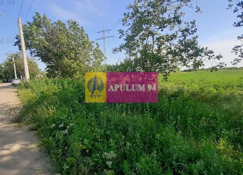 Teren Construcții intravilan de 5000 mp, în Copăceni