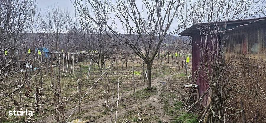 Casa cu teren 4000 mp in Bogei, Bihor - 3