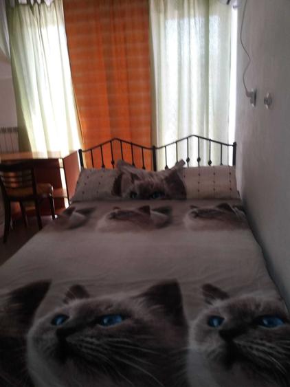 Garsonieră semidecomandată în Plopi