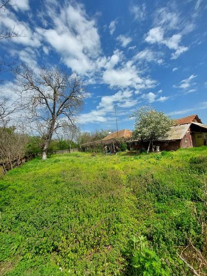 Casa cu teren 1280mp in Merii Petchii, Ilfov- oaza de liniste! - 4