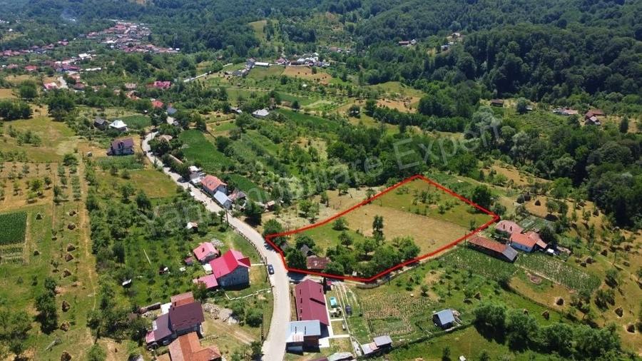 Teren de 6041 mp, în Cicănești