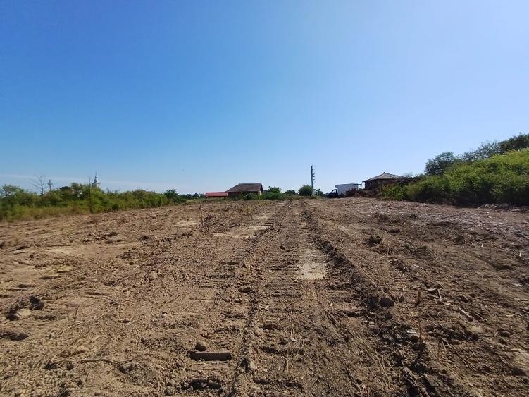 Teren Construcții intravilan de 500 mp, în Viile Satu Mare