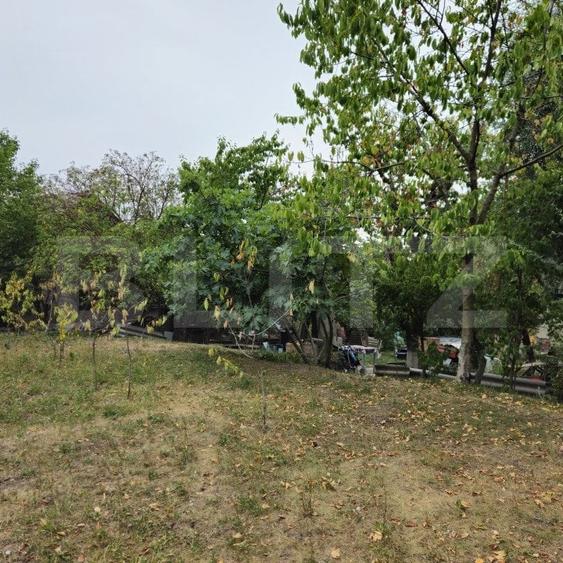 Teren Construcții intravilan de 17524 mp, în Viforâta