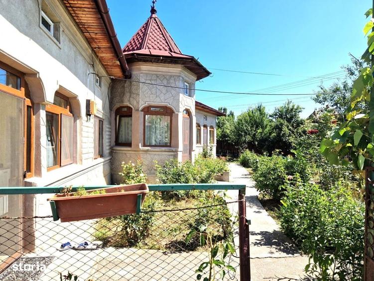 Vanzare Casa + Teren 1000 Mp. - Odaia Turcului, Db - 8