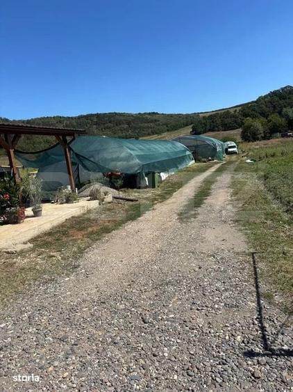 Teren cu sere de vanzare in Ceuasu de Campie! - 1