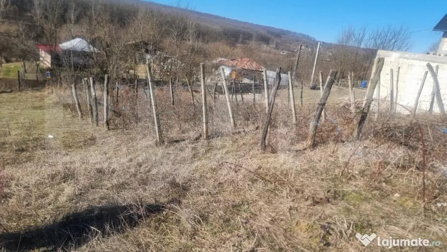 Casă cu 3 camere cu Teren 2000 Mp în Iordăcheanu