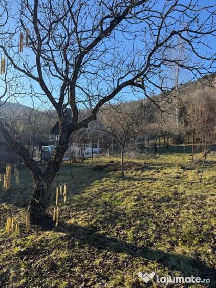 Casă cu 4 camere cu Teren 1000 Mp în Firiza