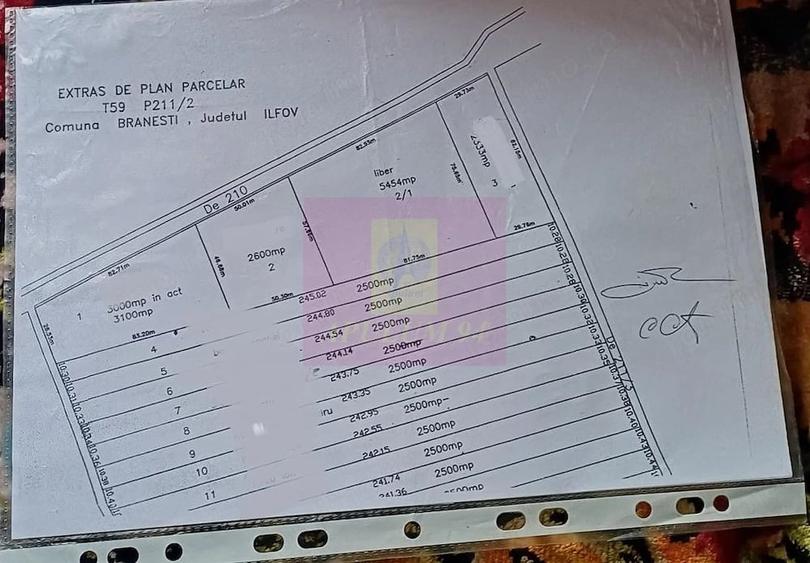Teren de 3333 mp, în Brănești