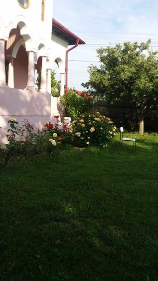 Casă cu 3 camere cu Teren 100 Mp în Central