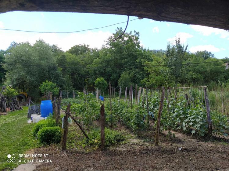 Casă cu 3 camere în Șeulia de Mureș