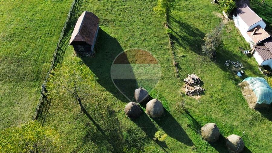 Teren agricol intravilan de 3658 mp, în Bran