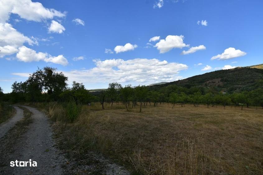 Casă cu 3 camere cu Teren 11200 Mp în Ciucea