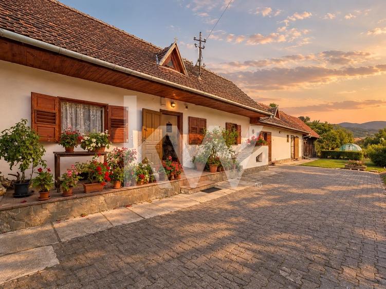 Casă individuală cu 3 camere cu Canalizare în Crizbav