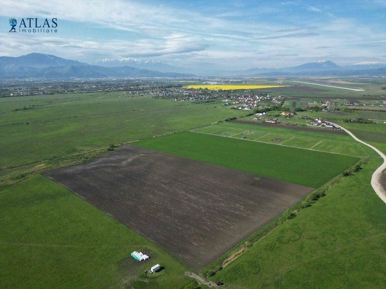 Teren agricol intravilan de 43100 mp, în Stupini