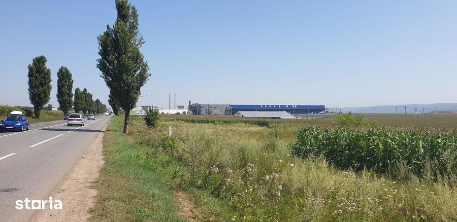 Teren de 9500 mp, în Nicolae Bălcescu