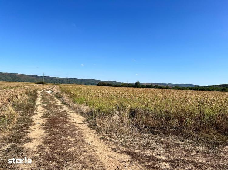 Teren de 1600 mp, în Podenii Noi