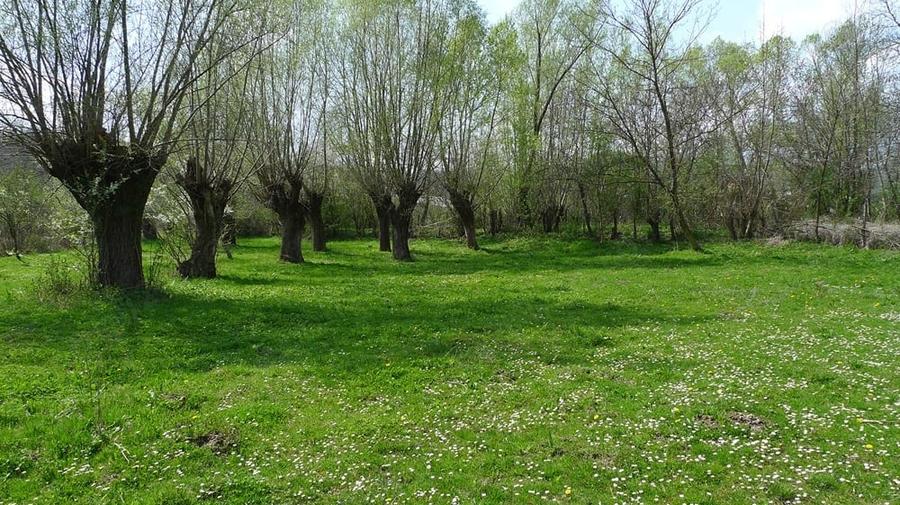 Teren de 3200 mp, în Provița de Sus