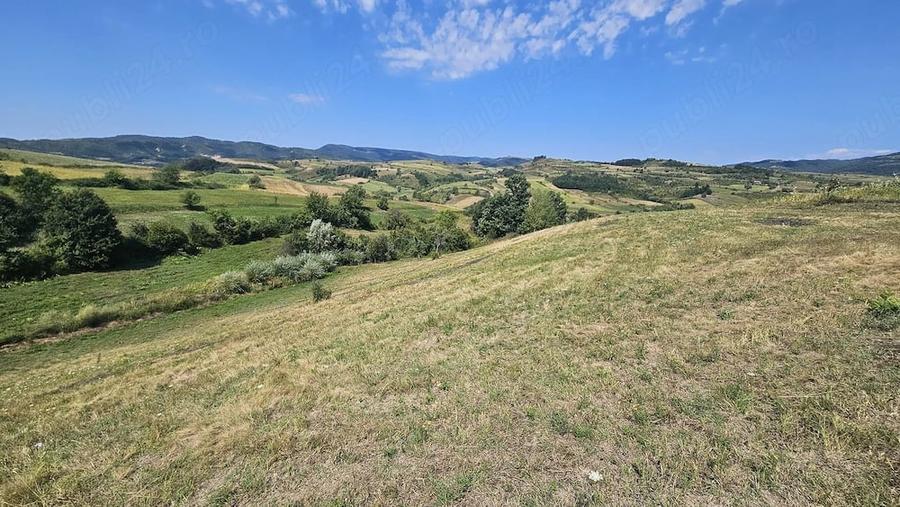 Teren de 4454 mp, în Sichevița