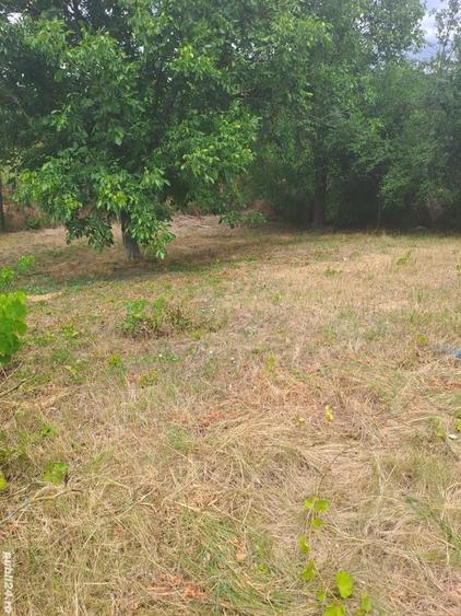 Teren de 470 mp, în Gălăteni
