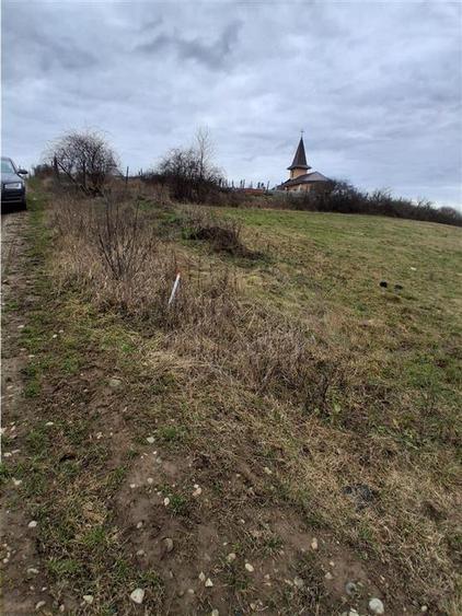 Teren Construcții intravilan de 5487 mp, în Betfia