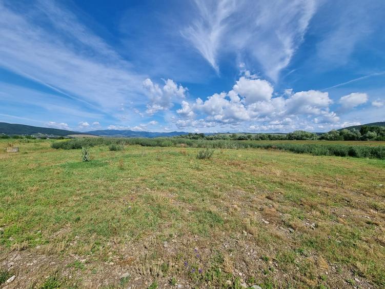 Teren Construcții de 5000 mp, în Bărăbanț